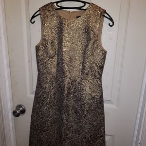 Ann Taylor women's dress
